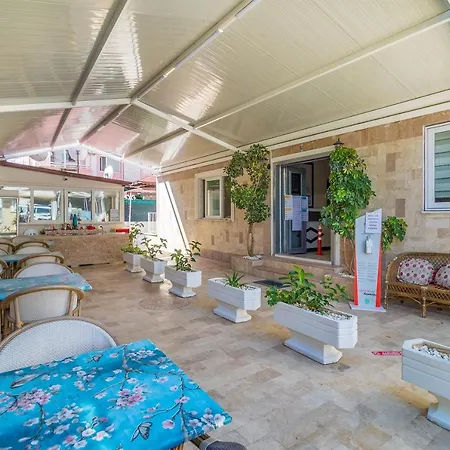 Near To Center And * マルマリス